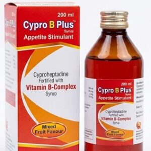 Cypro B Plus Syrup 200 ml